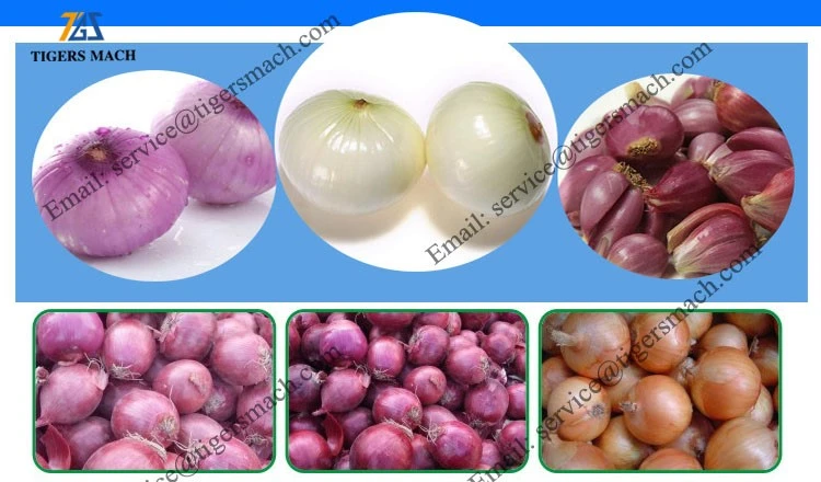 product-750-440